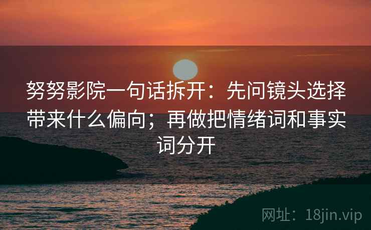努努影院一句话拆开：先问镜头选择带来什么偏向；再做把情绪词和事实词分开