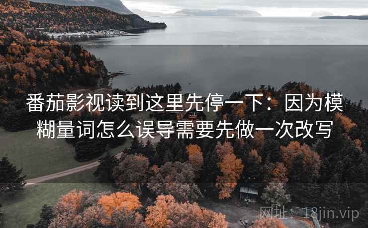 番茄影视读到这里先停一下：因为模糊量词怎么误导需要先做一次改写