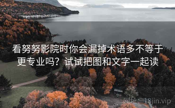 看努努影院时你会漏掉术语多不等于更专业吗？试试把图和文字一起读